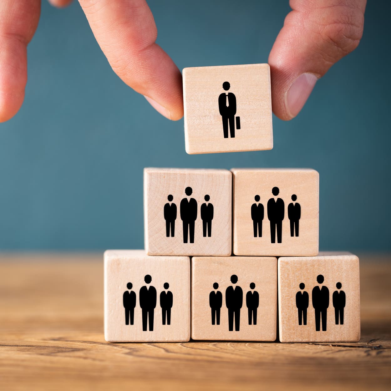 Cabinet de management de transition en Occitanie
